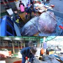 포항죽도어시장 이미지