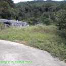 덕산 양계 이미지