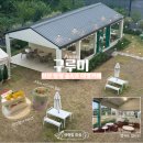 탕정면 삼성로 | [아산카페] 탕정대형카페 '구루미' 애견동반 가능한 숲속의 디저트 카페