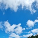 일동골프실내연습장 이미지