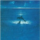 돌고래당구장 이미지