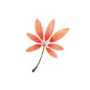 보성참숯불구이 이미지