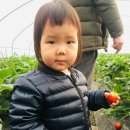 민정농장 이미지