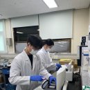 서해꽃게 이미지