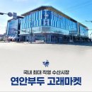 연안수산마켓 네이버블로그