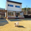 멍아지트 | 서울 근교 프라이빗 애견 동반 독채 펜션 여주 구름멍스테이