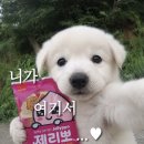 털보네 | 서울 숙대입구역 맛집 털보네떡꼬치 내돈내산 후기 :: 위치, 메뉴, 가격, 포장
