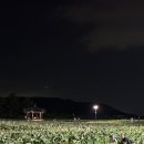 경주게스트하우스 두바퀴 이미지