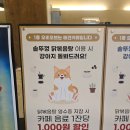 경춘로R | 남양주 애견 동반 맛집 | 내돈내산 | 솥뚜껑 닭볶음탕 남양주본점 + 애견카페 오비오브(obov)
