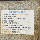 원조동대문닭한마리 | 동대문 진옥화할매원조닭한마리 후기｜밤 11시에도 사람 많은 이유