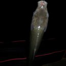 보성강8 이미지