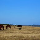 신천목장 이미지