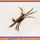 발랑낚시터 이미지