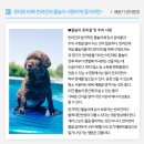 바다동물병원 이미지