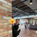 플로렌스포토그라피 | [내돈내산] 돌잔치 스냅 업체 추천(아이폰스냅이 필요없는 돌잔치스냅 #이양작가님)