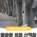 수청숲 네이버블로그