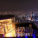스카이라인 투어코리아