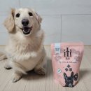 아이티아이 도그 비티 자연건조 저알러지 강아지사료