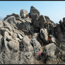 서산 팔봉산 목장 이미지