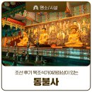 보현사목조여래좌상 | 조선 후기 목조석가여래좌상이 있는 공주 동불사를 아시나요?
