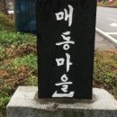 감나무집공할머니민박 이미지