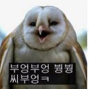 전자담배애드 이미지