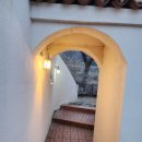 콩스빌리지 | &#34;로만티카 애견리조트&#34;에서 강아지와 만든 여름의 풍경