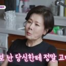 잔감동;장감독