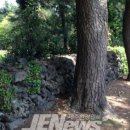 서광리-11 이미지