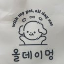 올데이 멍데이 이미지