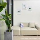 이다애견미용실 | [배곧 미용실] 애견 동반 가능한 1인샵 “오누아” 만족 후기