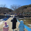 위천면사무소 | [겨울가족여행,6세,7세]수승대 눈썰매장,부곡온천,부곡얼음썰매장