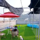 제이 앤 제이 애견 이미지