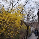 시민의숲산책로1-11 이미지