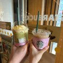 만보 | 하루 만보 걷기 추천 후기