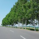 유심농장 이미지