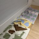 소람다락 | 숙소 | 강릉 숙소 소람다락_감성 숙소 내돈내산 후기 리뷰 추천