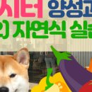 양성다방