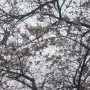 남천2동 행정복지센터 이미지