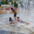 정선 국민여가캠핑장 이미지