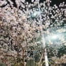 투앤써티 네이버블로그