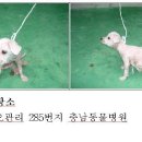 쥴리아모텔 이미지