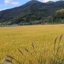 손가네 농장 이미지