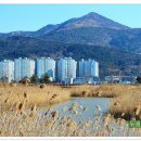 을숙도 생태공원 이미지