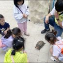 녹전초등학교병설유치원 이미지