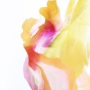 상주상회 이미지