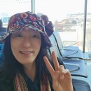 달다하우스 | 이마트 트레이더스 보다 더 달다! 제주 타이벡 감귤 공구 곧 마감