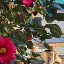 둔덕다락 이미지