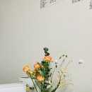 오유플랜트