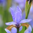 강동 휴 스크린골프 이미지